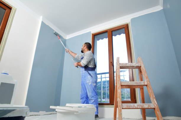 Best HVAC Mold Inspection and Cleaning  in Iona, ID