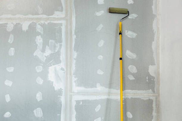 Trusted Iona, ID Mold Removal Experts