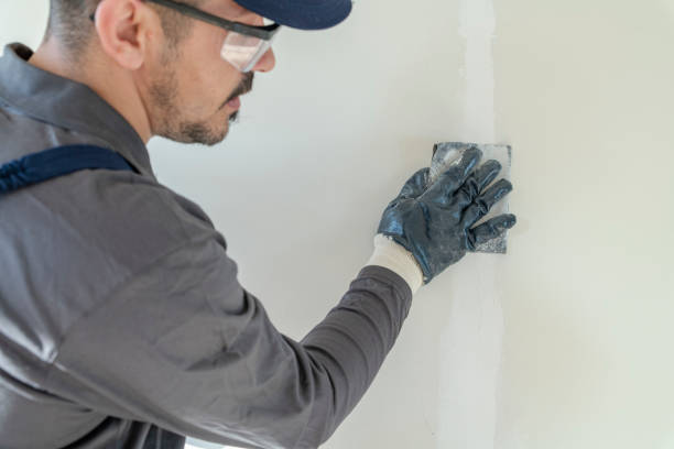 Best Mold Remediation for Vacation Homes  in Iona, ID